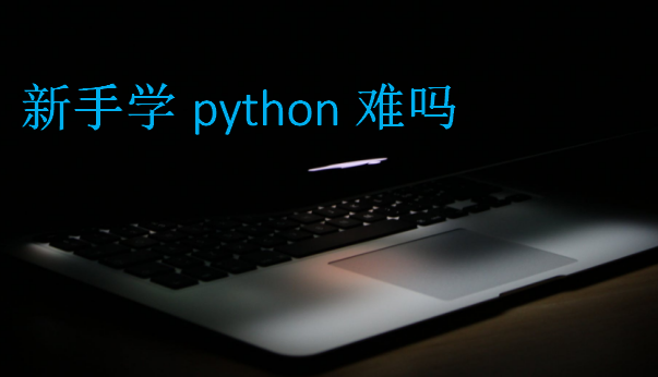 新手学python难吗