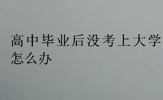 高中毕业后没考上大学怎么办