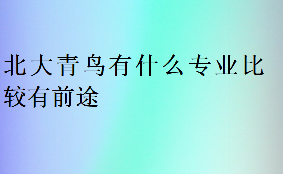 北大青鸟有什么专业比较有前途