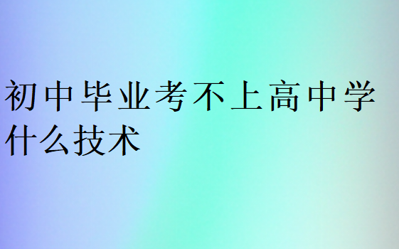 初中毕业考不上高中学什么技术